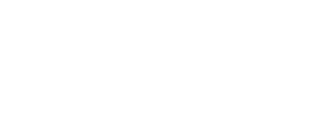 The Lingo Group, Inc